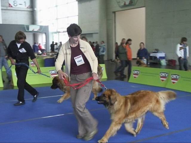 Salzburg Clubschau Mai 06 138 